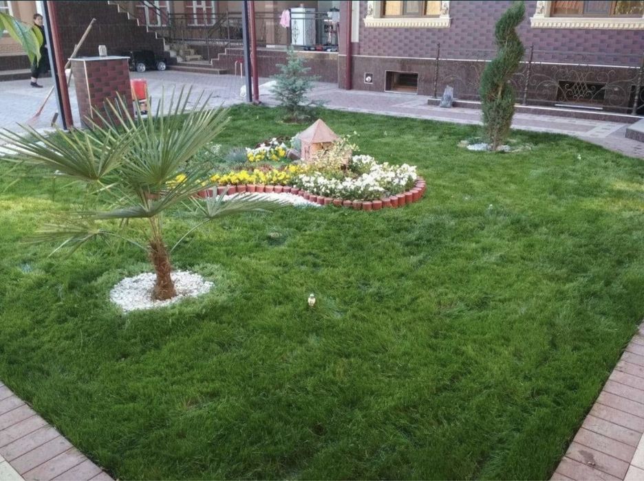 Посев рулонного газона