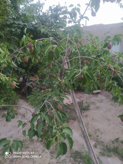 Жер жай сатылады 5 комната обмене бар 21мкр нан дом га