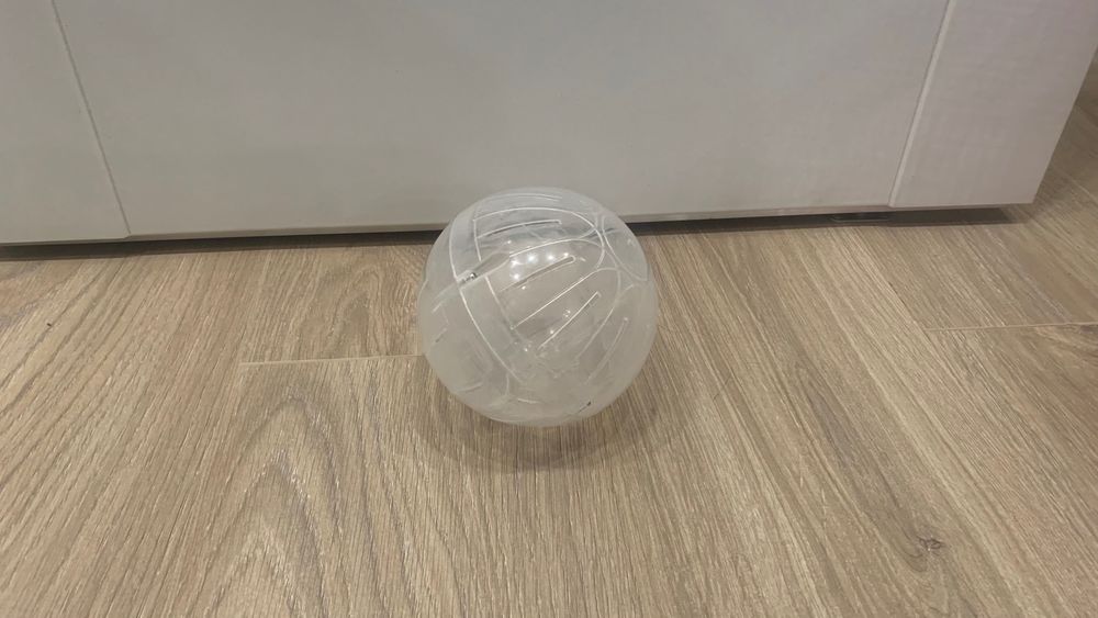 Продам хомяка (джунгарский)