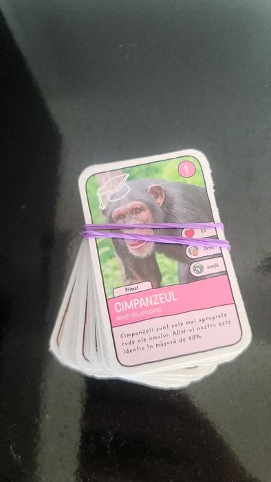 Set complet 96 abtibilduri Expeditie in jurul lumii 3 Mega Image