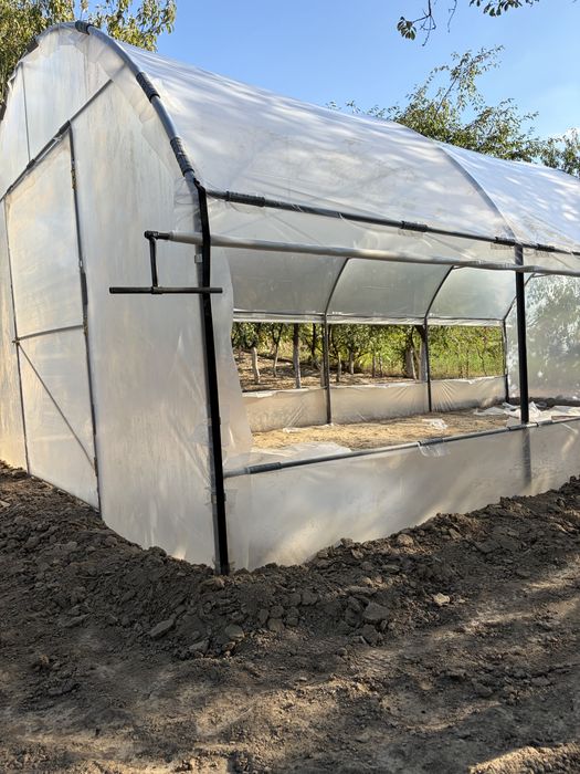 Solar legume solarii flori sera agricola