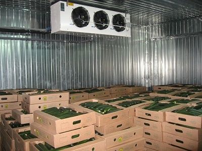 Холодильные склады под ключ