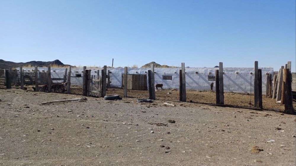 К/Х сатылады продаётся!