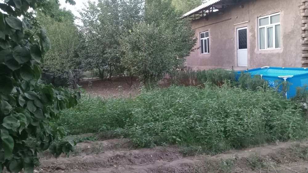 Hovli sotiladi hamma sharoit bor