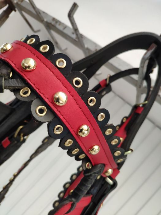 capici-cu-salba CAL/MAGAR/PONEI | set premium ... ⟣GARANTIE ⁴⁸