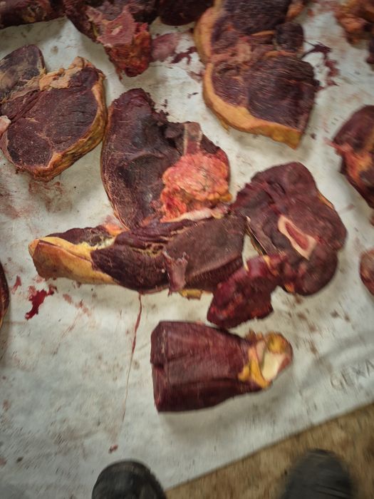 Мясо конина . Бие