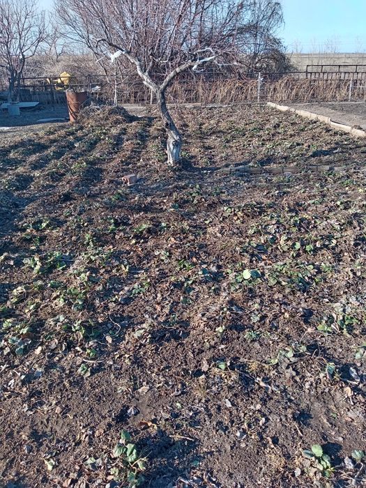 Продам дачу Союз, улица 17, дача 65