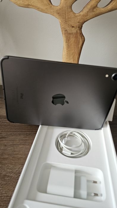 iPad mini 6 (2021) Wi-Fi + Cellular 5G – 64 GB, Space Gray