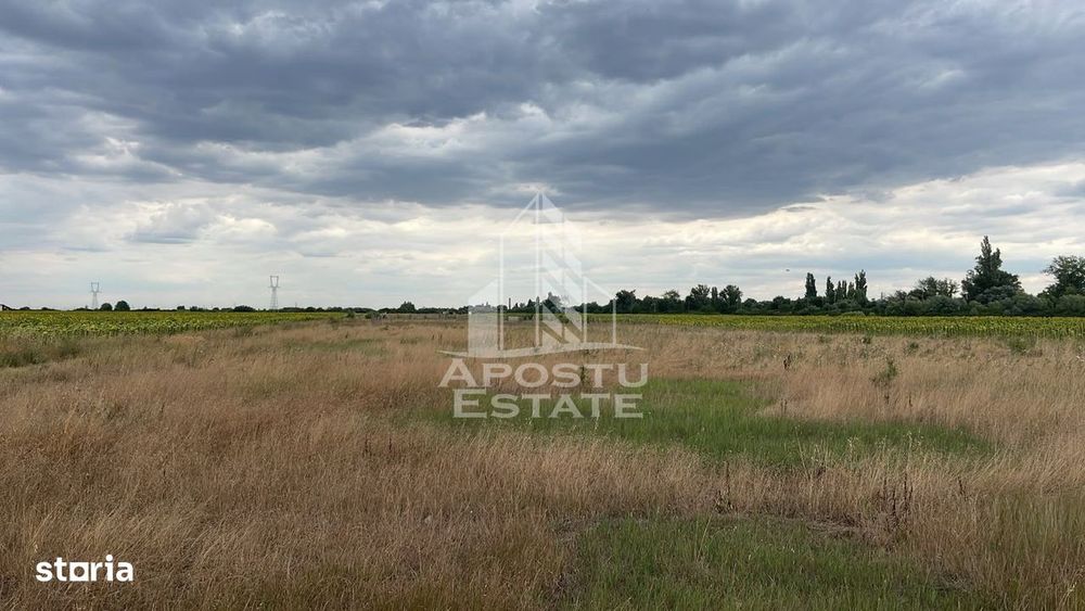 Parcela teren casa, intravilan, 1000 mp, Sanmihaiu Roman