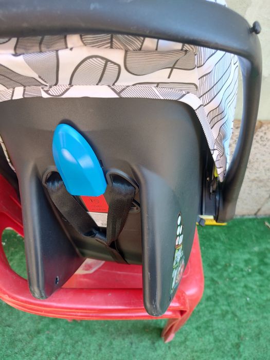 Cangaro Rachel столче