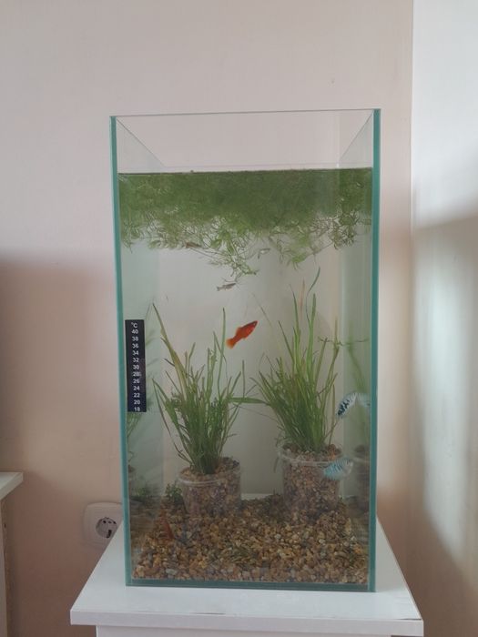 Продам новый аквариум