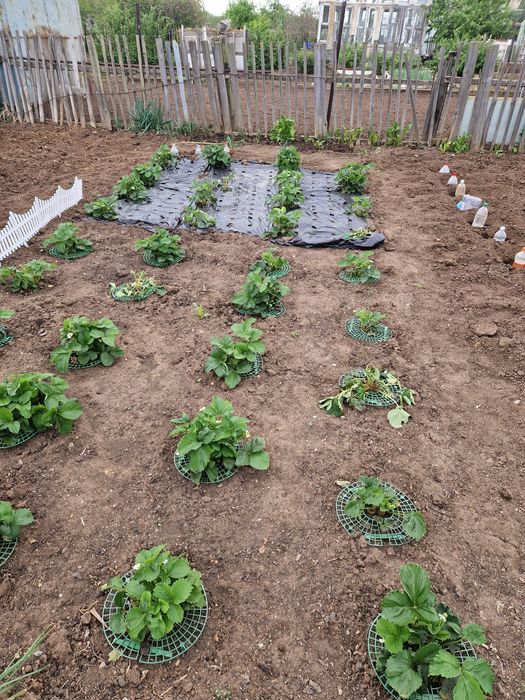 Продам дачу.темирязево 2линия