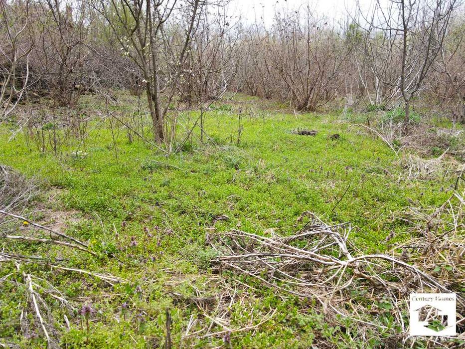 Продава се Къща в с. Михалци, Област Велико Търново - 60 кв.м за 234 €/кв.м - Снимка #8