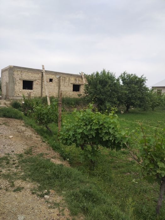 Туткунда Участка сотилади 6 соток