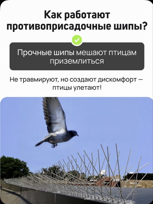 Шипы от птиц противоусадочные