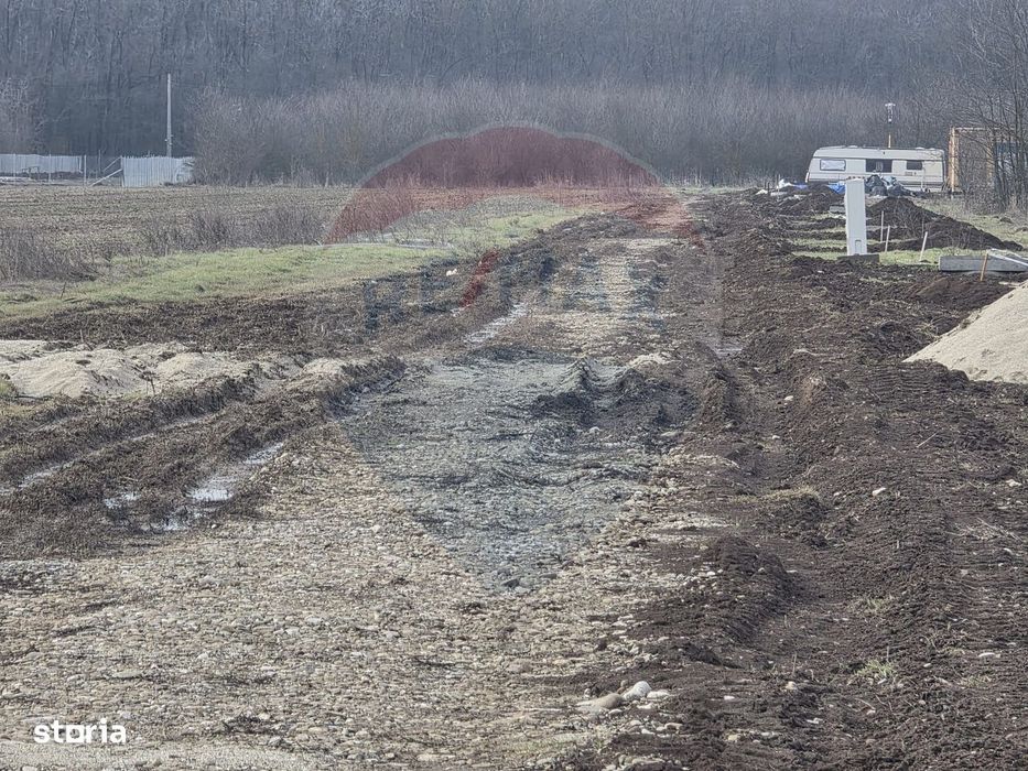 Teren 704 mp Silistea Snagovului vecinatate Padurea Snagov