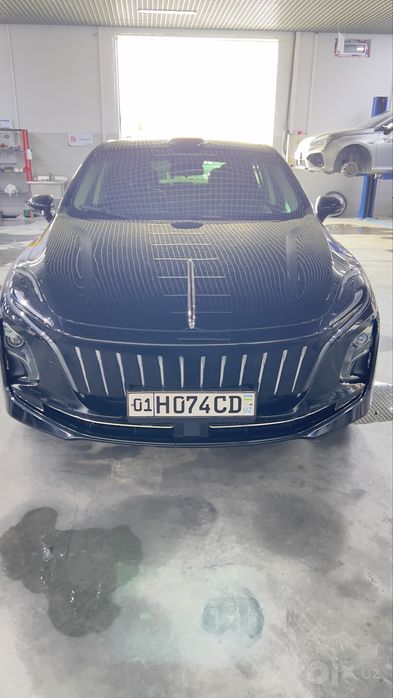 HONGQI EQM5  Kunlik ijaraga beriladi
