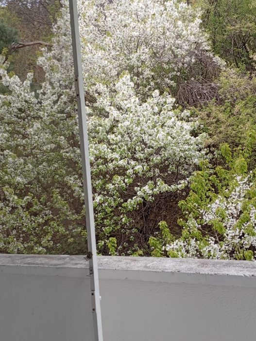 Vând apartament trei camere etaj 2,zonă rezidențială  Piatra Neamț
