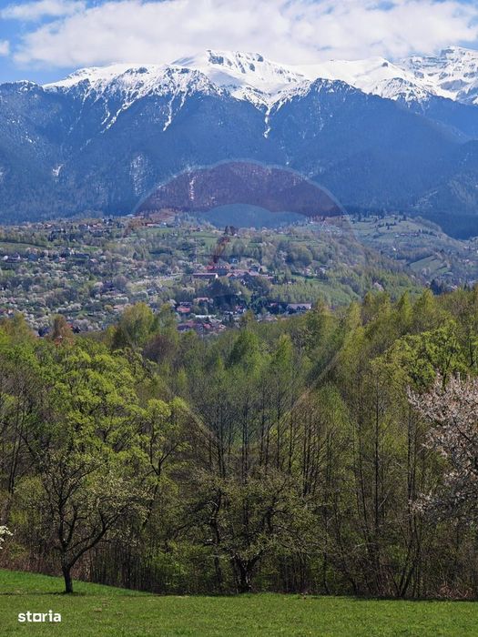 Ocazie! Teren 2885 mp Bran- Predelut / Strada Pe Tarina nr. 70A