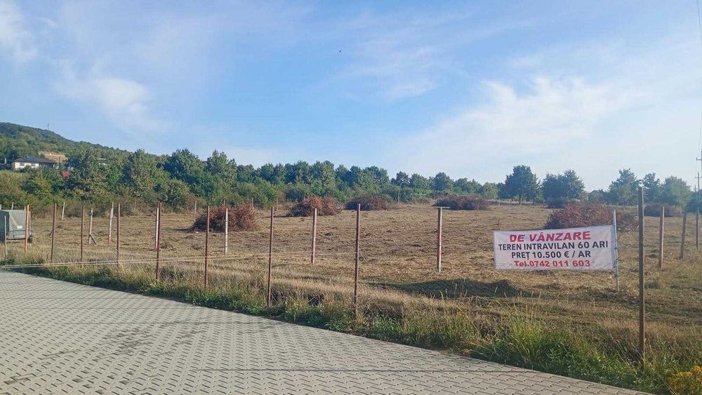 Teren SUBCETATE Bistrita 60 ari
