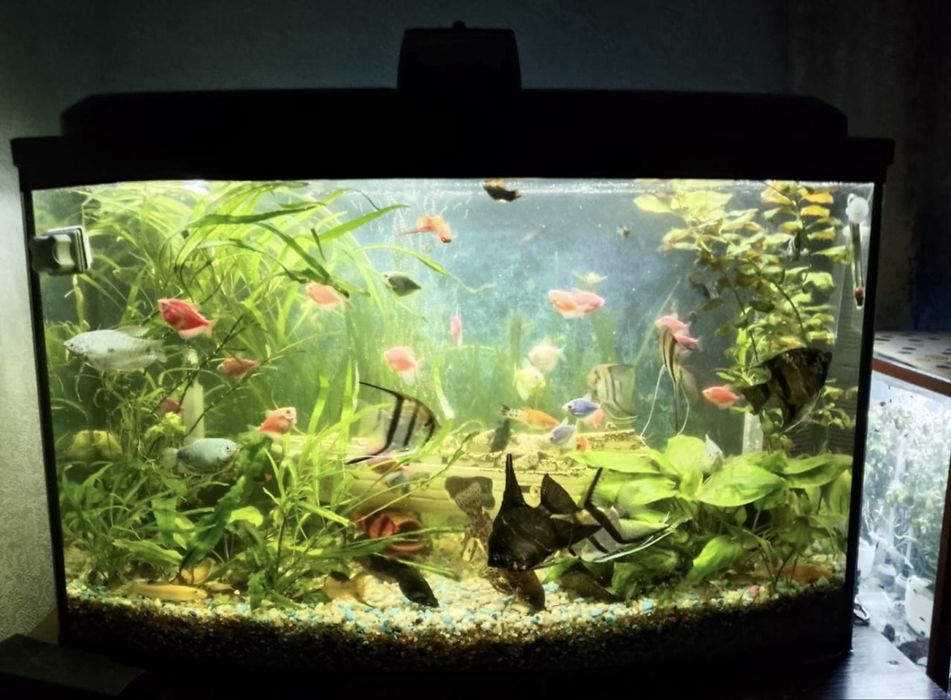 Продам аквариум