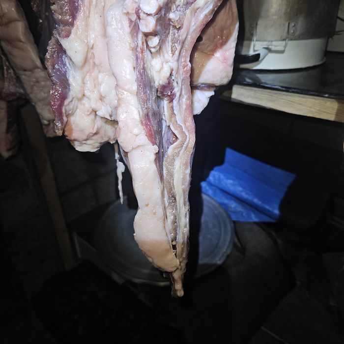 Тай с откорма на согым