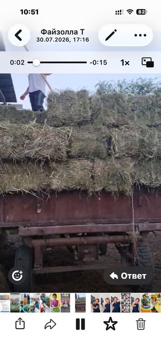 Сено суданка и люцерна в тюках
