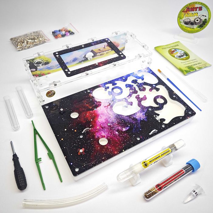 ГИПСО-Акриловый Формикарий "ACE" ||| Муравьиная ферма - Муравьи жнецы