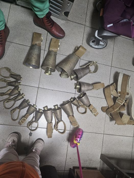 Звънци за Сурва с кайшки