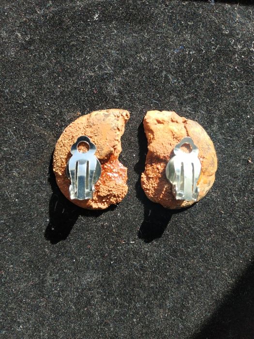 Стилни обеци от естествени амонити-фосили