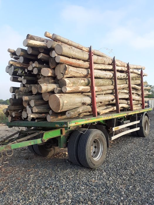 Lemne de foc esențe tari și moi