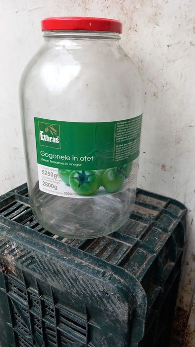 Vănd borcane mari de 4 și 5 litri