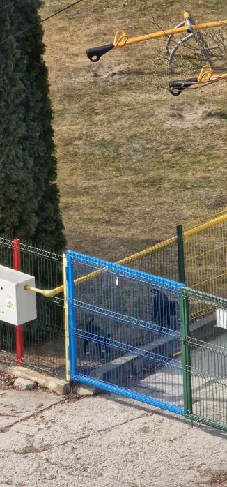 Cățeluși abandonați