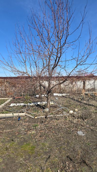 ПРОДАМ Дачу в Мелиораторе