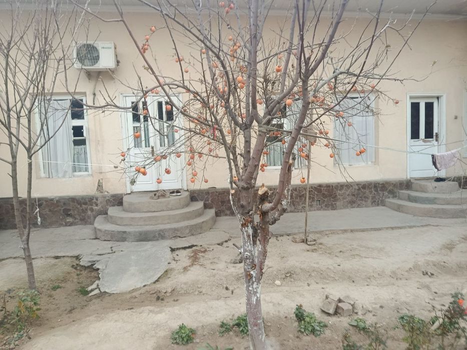 Продается дом в Учтепинском районе, на махалле штап