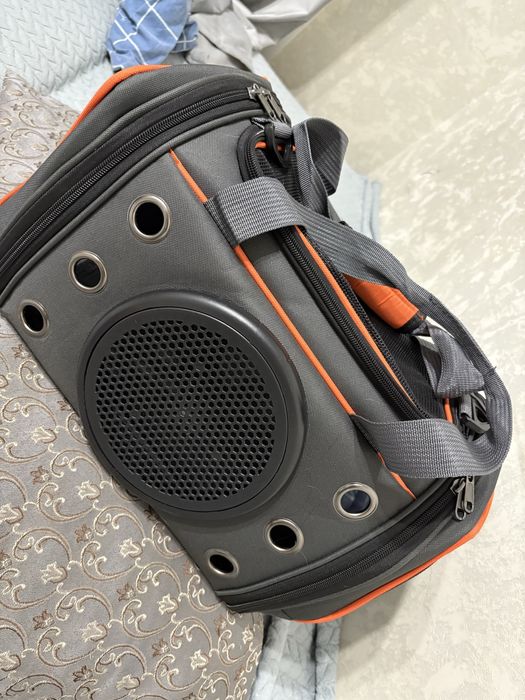 Мысыққа переноска