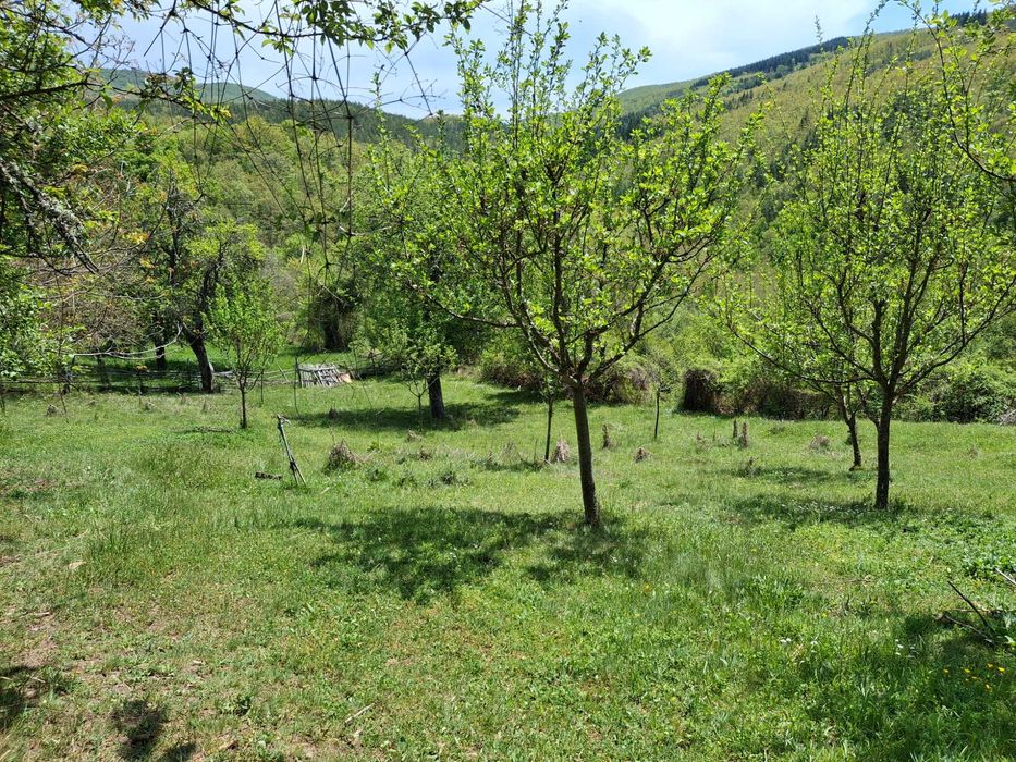 Два парцела с една къща