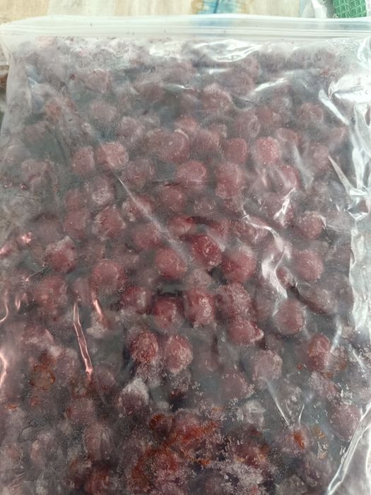 Заморозка, заморозка