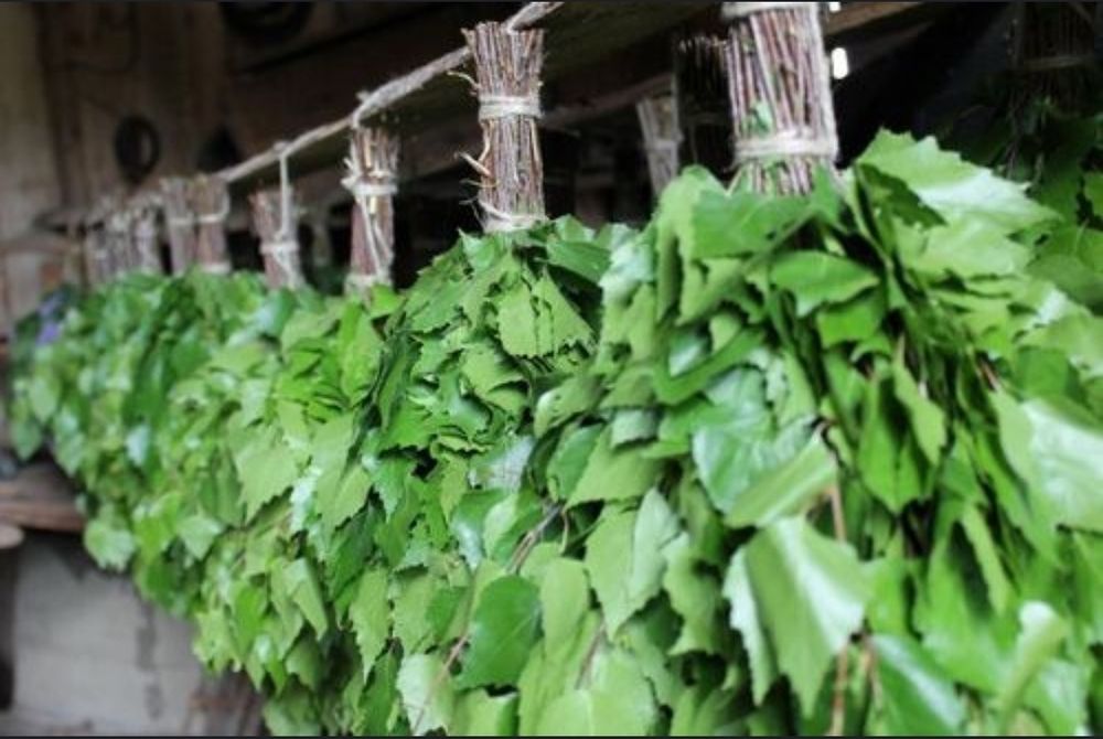 Веники для бани берёзовые