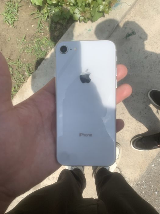 Iphone 8 holati alo