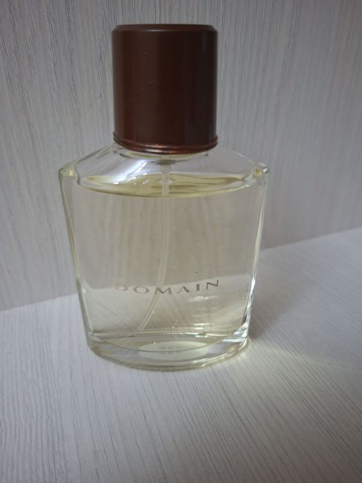 Туалетная вода domain 73ml