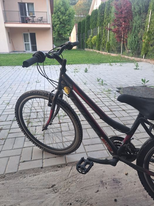 Bicicletă Mountain Bike