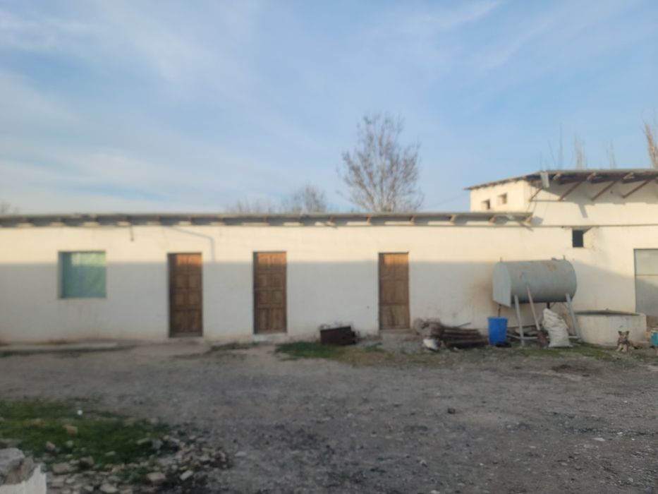 Srochni sotiladi kelishilgan narxda Tayyor biznisli joy makaron sex 8
