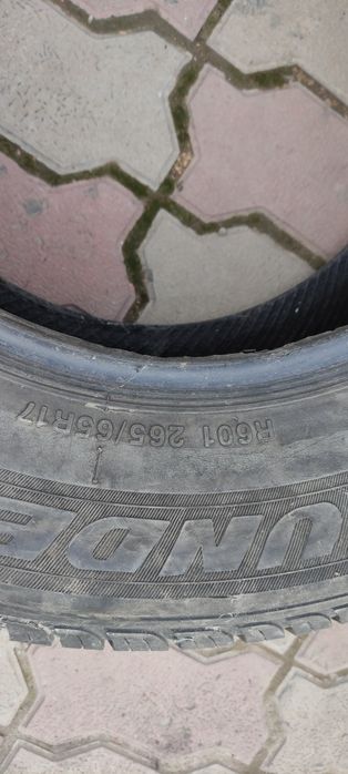 Шины летние Thunderer