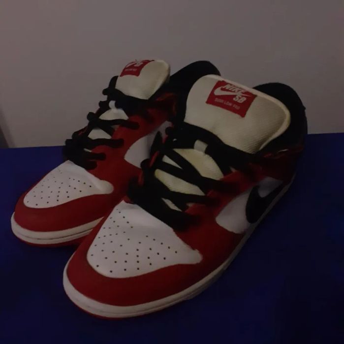 Nike dunk low pro chicago