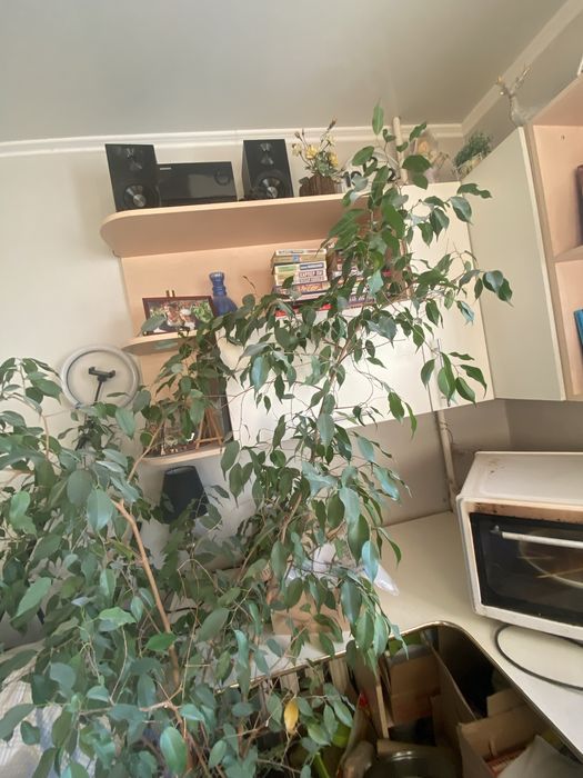 Мебель для подросткоаой комнаты