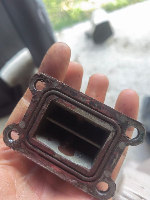 Muzicuta am6 polini carbon