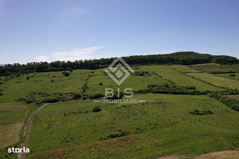 Teren Valea - Stanelor 21.600 mp