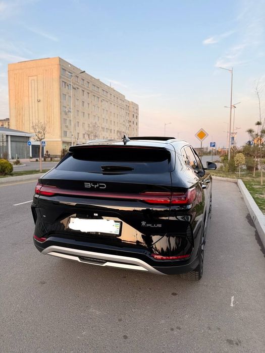 BYD chempion Honir