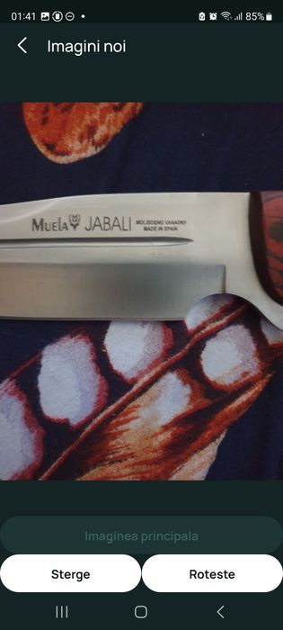 Scaun masa cutit Muela Jabali